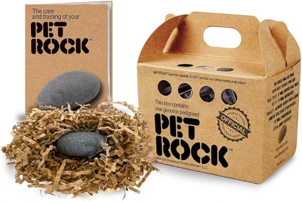 일본 아마존에서 판매되고 있는 ‘Pet Rock’