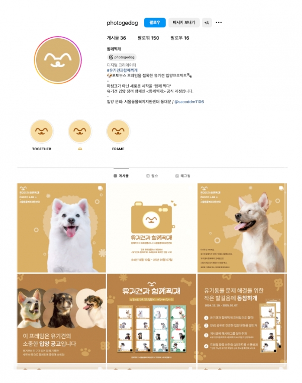 인스타그램 계정(@photogedog)