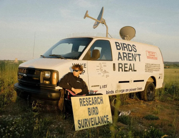 출처 birdsarentreal.com