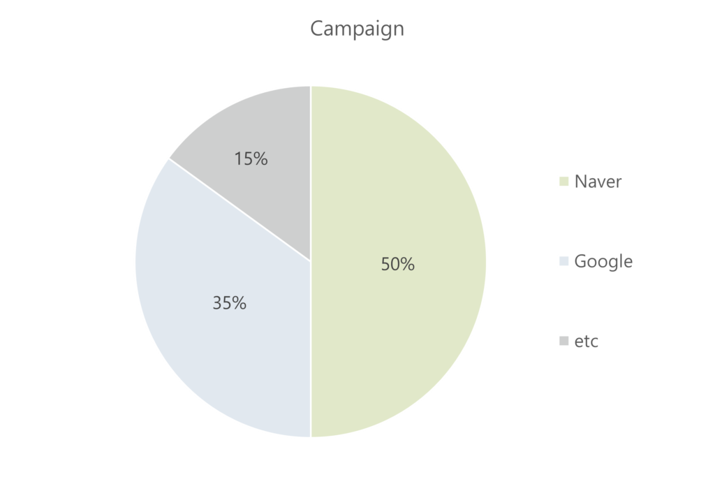 Campaign 분석 (출처 : BizSpring)
